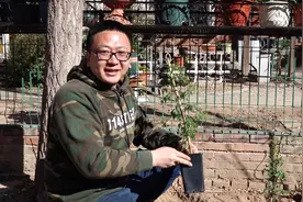 院子外围的铁篱笆，我要把它变成柔软的花墙，就靠这个花视频封面