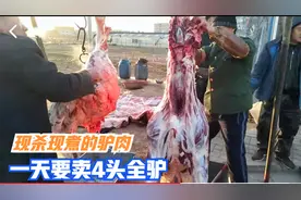 河南最霸气乡镇驴肉馆，2米大锅煮两头全驴，一天最少卖1000斤视频封面