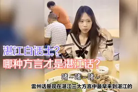广东方言之湛江话：雷州话，白话，客家话三分天下，又在互相影响视频封面