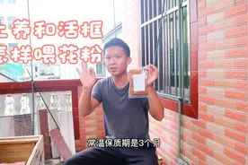 土养蜜蜂和活框蜜蜂怎么样喂花粉浆，方法很简单，小伙现场教你视频封面