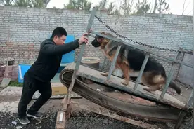 按着粉丝们给的建议，小丁对跑步机进行了调试，这下想偷懒都不行视频封面