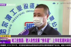 哈工投集团：驶入经济良性发展“快车道”，上半年实现利润过亿元视频封面