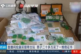 坑！男子直播间捡漏23万买了一堆假翡翠视频封面