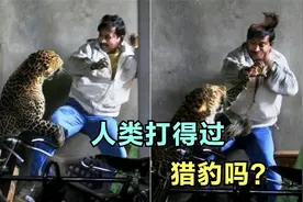 普通人打得过猎豹吗
