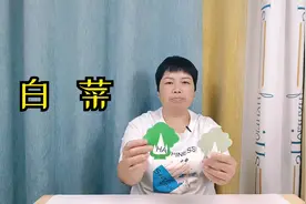 教大家在彩纸上剪一棵白菜，按照这个步骤来做，很容易视频封面