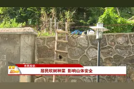 直播12345：市民投诉：居民砍树种菜 影响山体安全视频封面