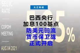 巴西年内4次加息！防美元回流，各国央行都在行动！视频封面