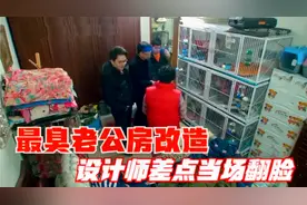 上海最臭老公房改造，养了30几个猫狗，设计师差点当场翻脸视频封面