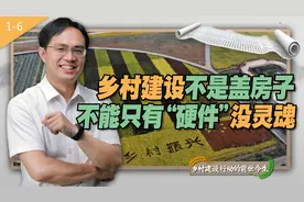 盖新房，整村貌就是乡村建设？专家：不能只有“硬件”没灵魂视频封面