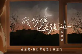 我好像还差了点运气－苏星婕【新歌推荐】别忘了 说出口 我爱你视频封面