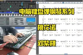 电脑键盘弹钢琴系列：桃花诺（伴奏版）视频封面