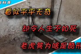 看似平平无奇，却令人闻风丧胆，老虎凳为啥是酷刑视频封面