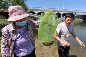 小伙和奶奶来大河摸田螺，啥意外收获把祖孙俩高兴坏了？运气真好视频封面