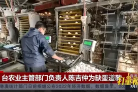 台湾缺蛋问题严重，台农业主管部门负责人陈吉仲为缺蛋道歉视频封面