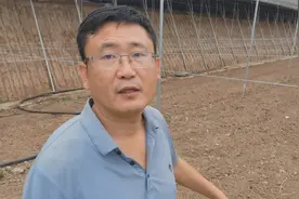 大棚容易进水被淹，不花一分钱改造一下，永不会再被淹视频封面