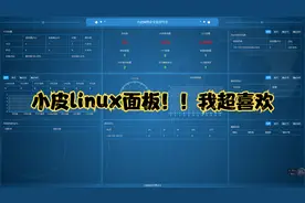 【四】linux小皮面板初体验！天呐我太喜欢了！！！@城南生活日志视频封面