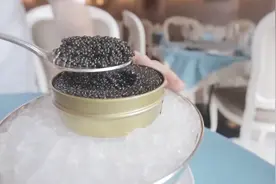 原来鱼子酱还有这些我不知道的功效，怪不得买那么贵了！视频封面