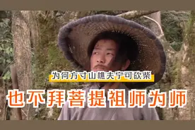 难怪樵夫宁可砍柴，也不愿拜菩提为师，你看悟空的师兄们说过什么视频封面