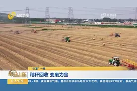 山东：小麦秸秆变废为宝，卸“包袱”变“财富”，助力农民增收视频封面