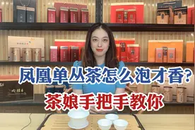 凤凰单丛茶怎么泡才香，茶娘以鸭屎香为例，手把手教你视频封面