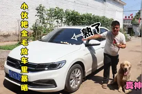 四十多度的大热天，小虎把生鸡蛋放到车里暴晒，这鸡蛋能晒熟吗？视频封面