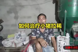养猪小哥教你如何治疗小猪拉稀，用什么药治疗效果最好视频封面