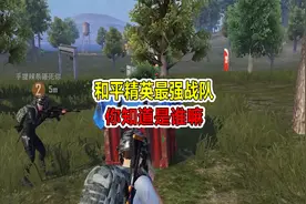 吃鸡中最强的五大战队，你都知道嘛？