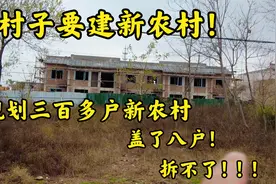 村子改造要建新农村，规划三百多户的就建了八户！真的拆不动了!视频封面