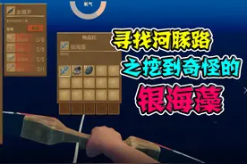 木筏求生：寻找河豚路之银海藻是个什么东西