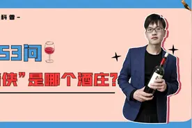 拉菲旗下的四级酒庄，江湖人称“赌侠”，为什么说它是千元档无敌视频封面