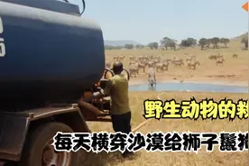 非洲男子每天给野生狮子鬣狗送水喝，拯救了几千只动物的生命视频封面
