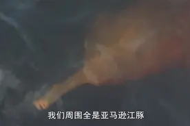 亚马逊深渊：亚马逊江豚，是粉红色的淡水豚，十分奇特视频封面