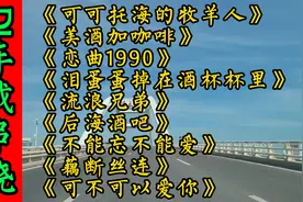 酒吧震撼重低音DJ车载舞曲高音质大碟《美酒加咖啡》《恋曲1990》
