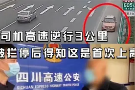 老司机高速逆行3公里 被拦停后得知这是首次上高速视频封面