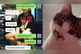 女子将小猫寄养在朋友家，结果收到小猫拨来视频电话，过程太治愈视频封面