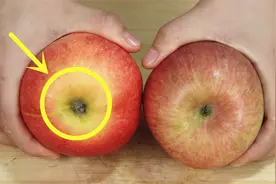 才知道，挑选苹果这么简单，果农教我绝招，甜脆多汁，真实用