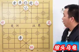 这只缩头乌龟 不吃不喝不出门 居然活了1000年 黑将都没了它还在