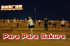 减压瘦身步子舞《浪漫樱花》郭富城好看易学超动感舞步 原创教学