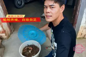 蚯蚓怎么养？小唐教你最简便的方法，以后钓鱼不用买了视频封面