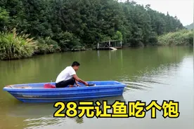 小邓山里养鱼有妙招，这么大的鱼塘，只需花28元就能让鱼吃一个月视频封面
