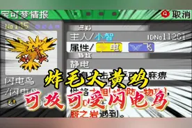 口袋妖怪究极绿宝石小智版220，如何培养一只受向输出闪电鸟