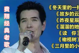 费翔经典老歌《冬天里的一把火》《故乡的云》溜溜的她《读你》