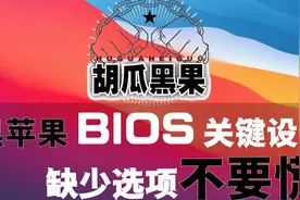 【胡瓜黑果】黑苹果主板BIOS关键设置，缺少选项不要慌视频封面