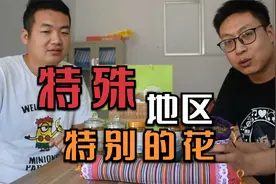 豫西有个一部样的地方，只有这个地方的菊花吃着不苦微甜视频封面