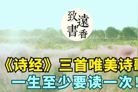 《诗经》三首唯美诗歌，诗情画意，流连忘返，百读不厌！视频封面