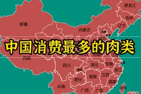 中国各省消费最多的肉类地图