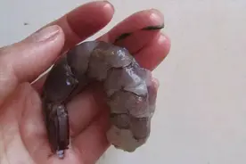 虾背上的黑线太脏不能吃？是排泄物还是重金属？今天告诉你实情！视频封面