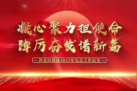凝心聚力担使命踔厉奋发谱新篇 —沙县区政协2022年亮点工作纪实视频封面