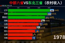 中部六省VS东北三省农村居民收入，曾经的东北如此富裕视频封面