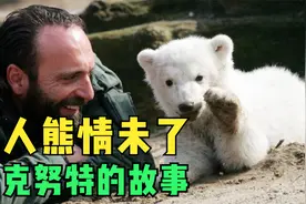 价值千万欧元的熊孩子 被人类养大的北极熊克努特！视频封面